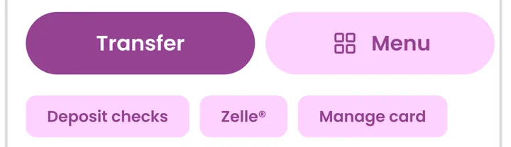 Ally Transfer, Deposit checks, Zelle and Manage card buttons