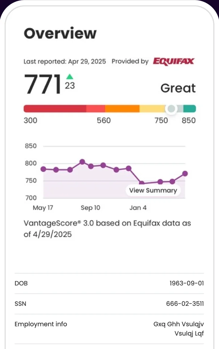 Ally credit score overview