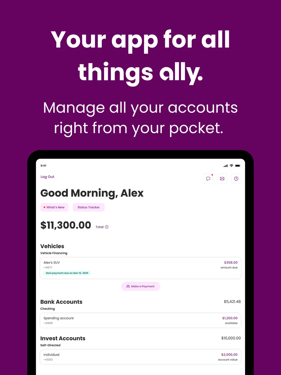 Ally iPad App Store image of the home screen