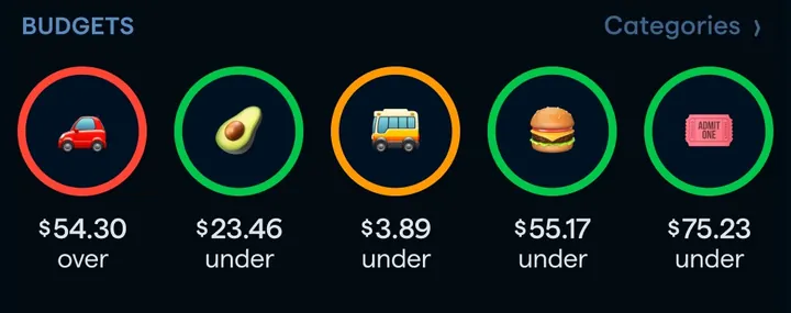 Copilot budget rings
