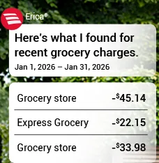 Erica grocery spending insight card
