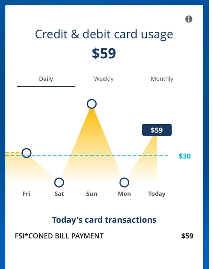 Daily card usage chart totaling $59