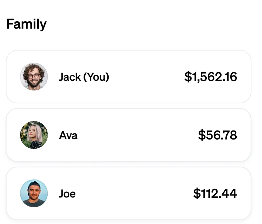 Family member balances