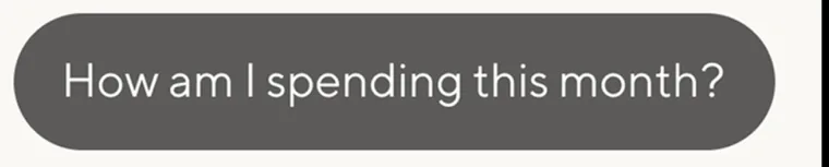 Chat bubble: How am I spending this month?