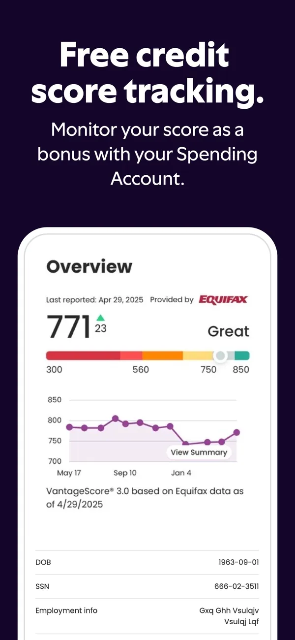 Ally App Store image of credit score tracking