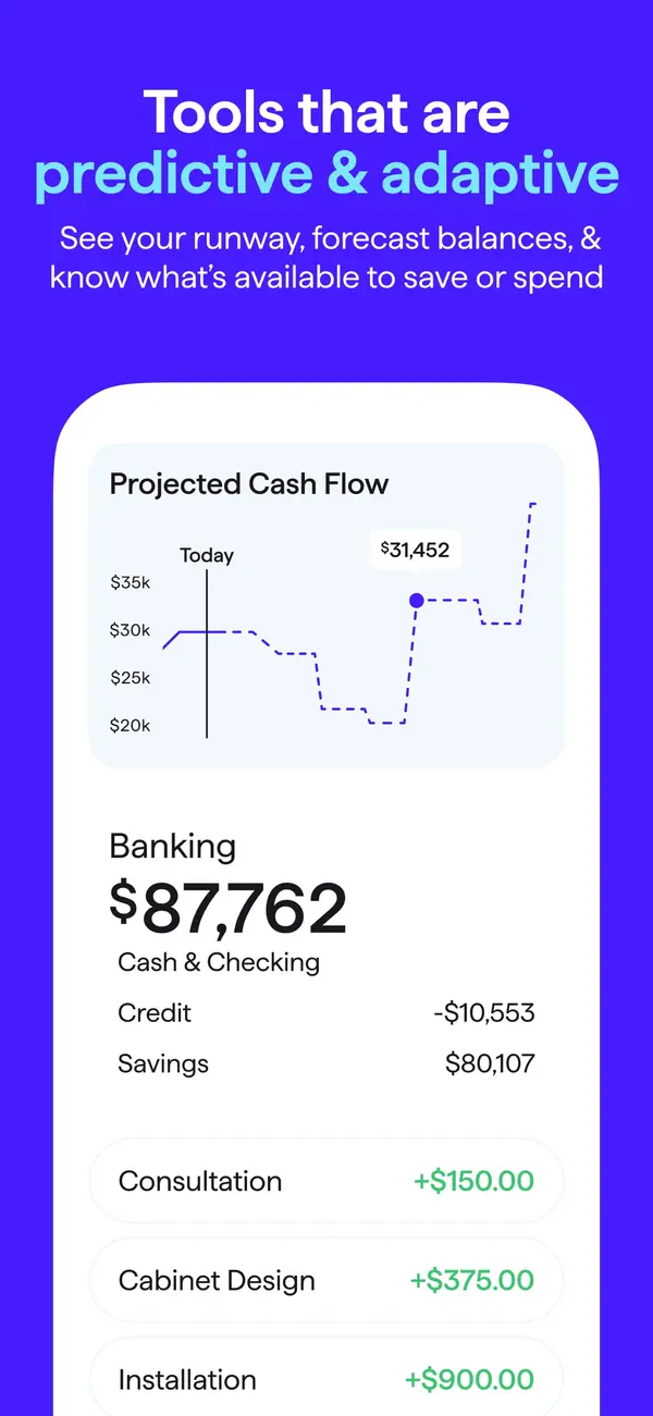 Quicken App Store image of projected cash flow