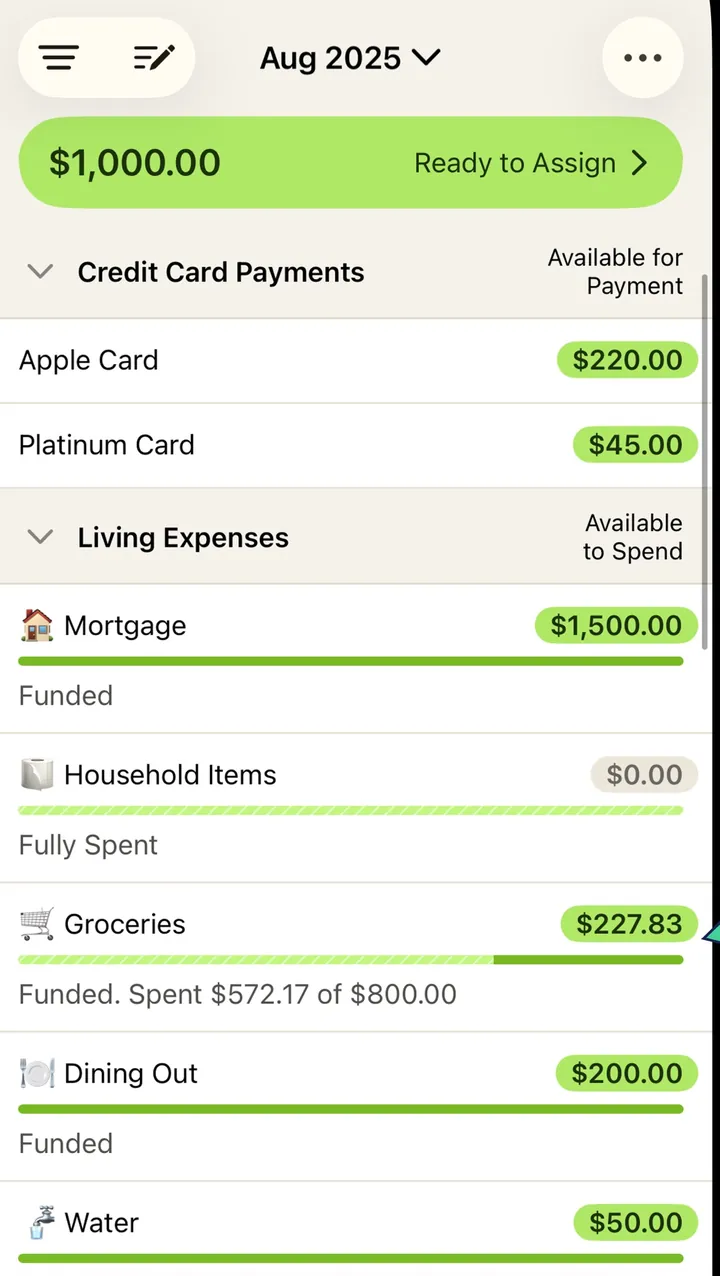 YNAB plan screen with category rows and progress bars
